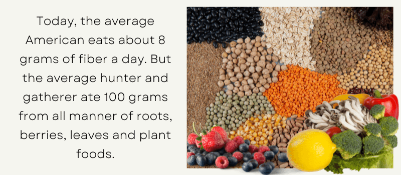 Today, the average American eats about 8 grams of fiber a day. But the average hunter and gatherer ate 100 grams from all manner of roots, berries, leaves and plant foods.