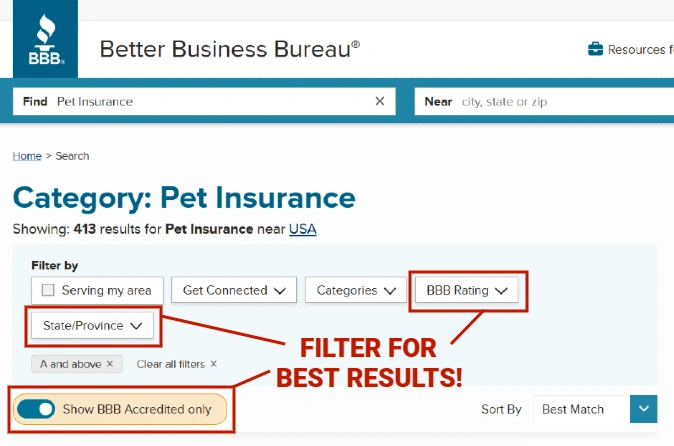 Always research pet insurance providers by looking up reviews on Google and the BBB.