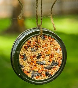 A wild bird feeder made out of a jar with seeds in it to keep wild birds fed all year round.