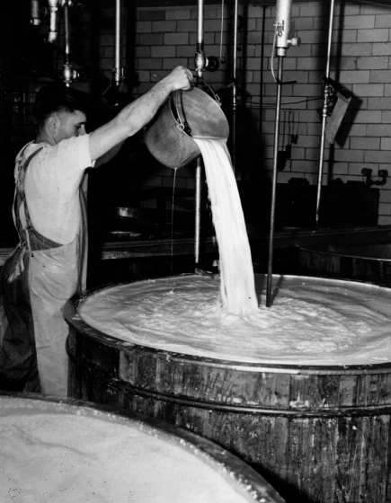 1940 - A farmer adds an extra bucket of milk to enrich his cheese. Source: Three Lions